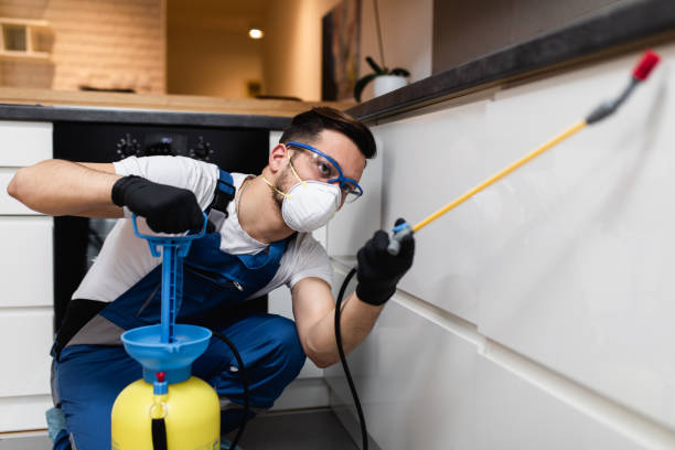 Best Best Pest Control Near Me  in Mount Ivy, NY