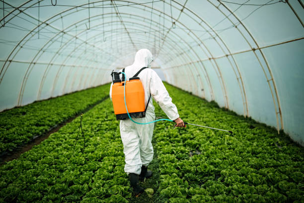 Best Mosquito Control Services  in Mount Ivy, NY