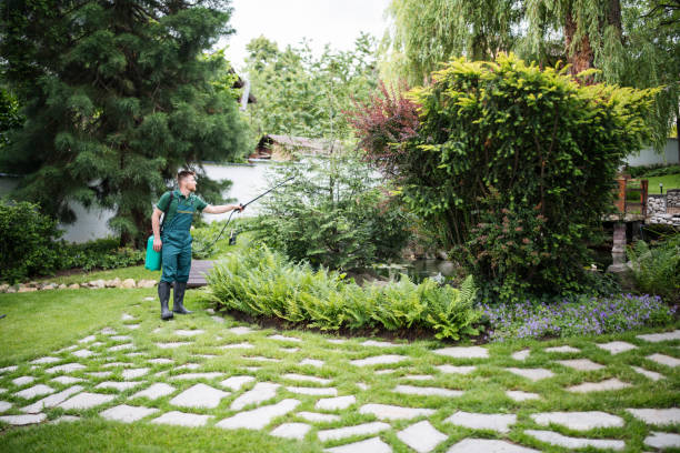 Best Ant Control Services  in Mount Ivy, NY
