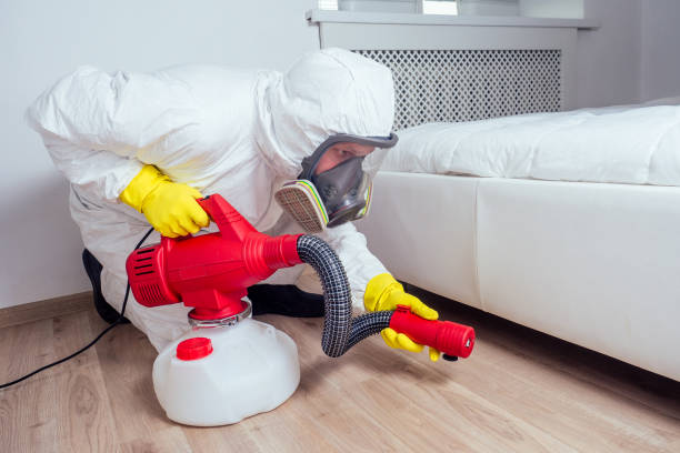 Best Wasp Removal Services  in Mount Ivy, NY