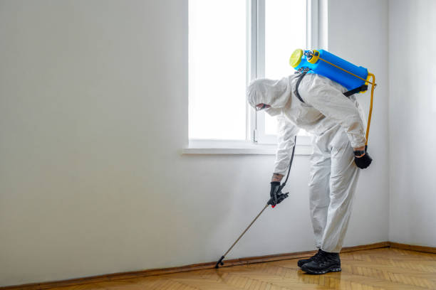 Best Pest Control for Businesses  in Mount Ivy, NY