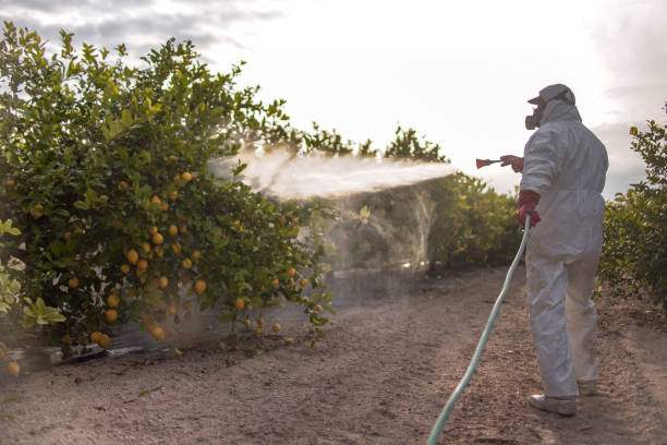 Best Pest Control Near Me  in Mount Ivy, NY