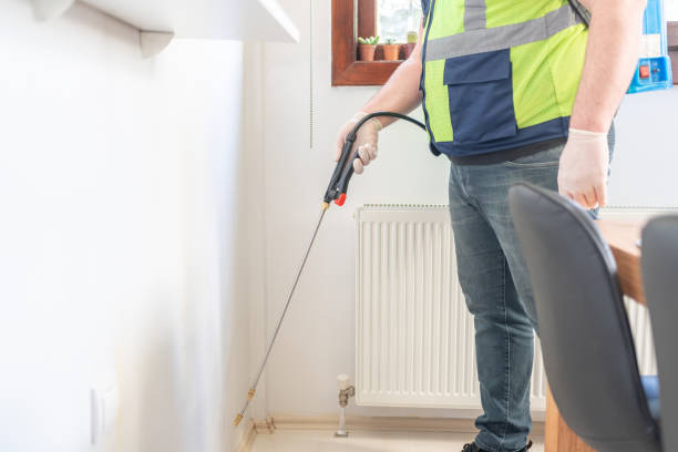 Best Bed Bug Extermination  in Mount Ivy, NY