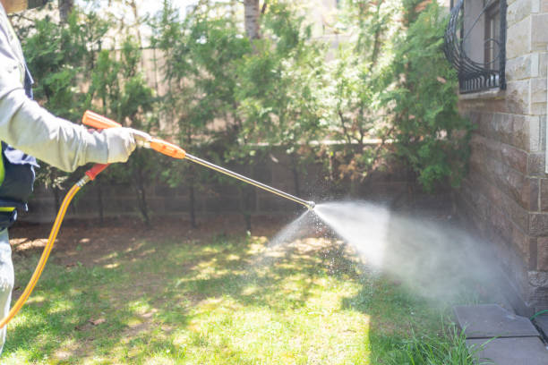 Best Pest Inspection Near Me  in Mount Ivy, NY