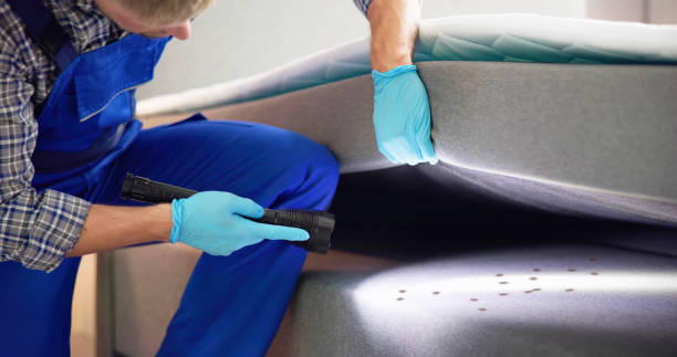 Best Cockroach Control Services  in Mount Ivy, NY