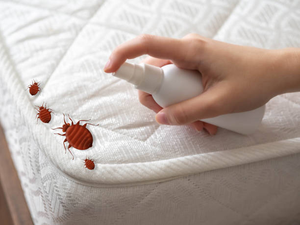 Pest Control for Restaurants in Mount Ivy, NY
